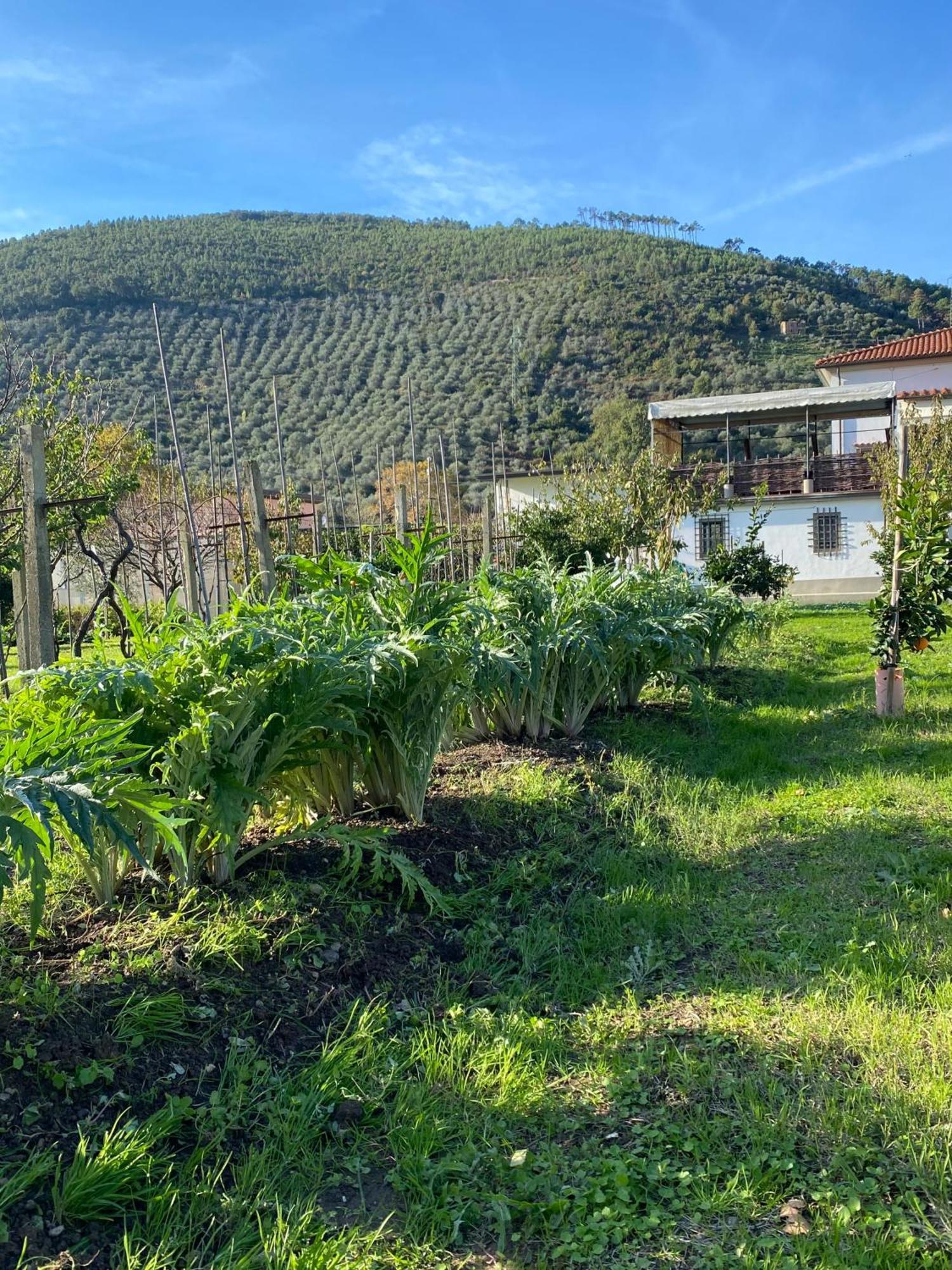 La Tenuta Di Eva Pisa Exterior foto